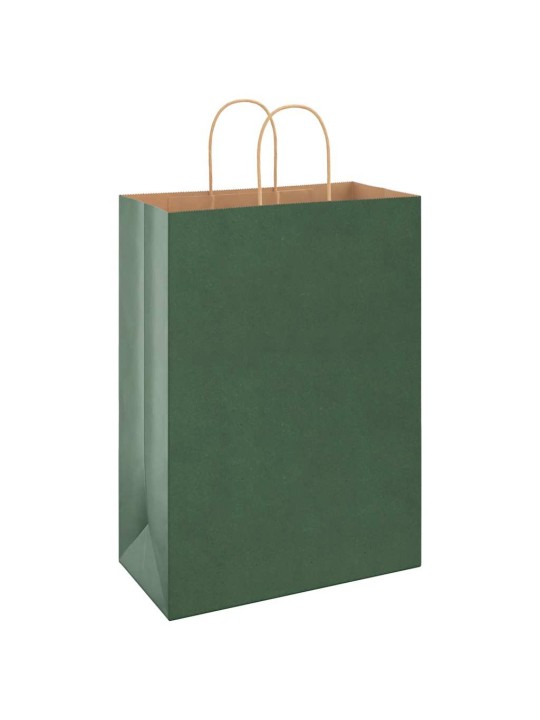 Paperikassit 50 kpl kahvoilla vihreä 32x17x44 cm