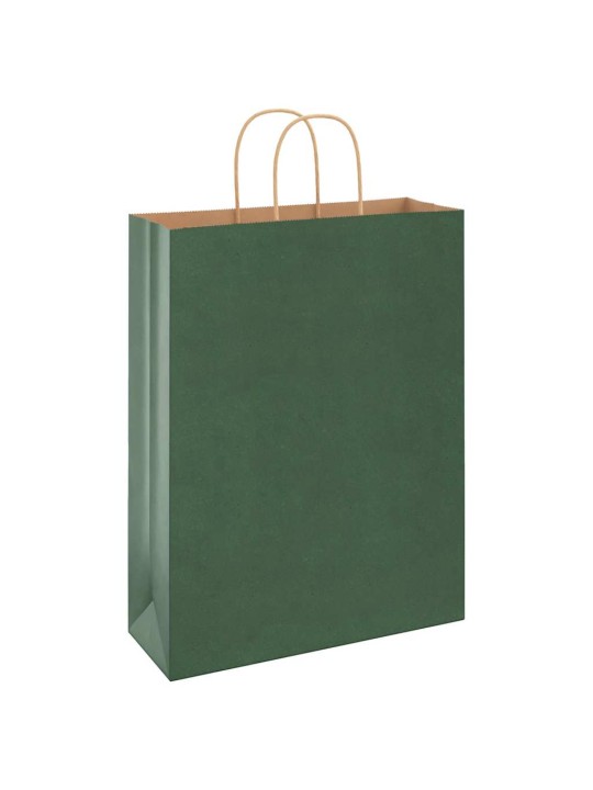 Paperikassit 250 kpl kahvoilla vihreä 32x12x42 cm