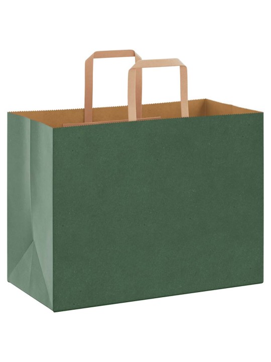 Paperikassit 250 kpl kahvoilla vihreä 32x17x25 cm