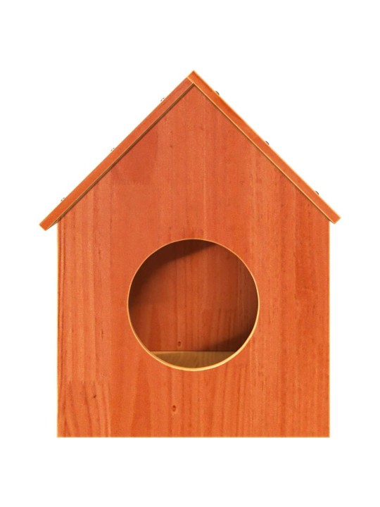 Cat house wax ruskea 41x50x50 cm massiivipuumänty