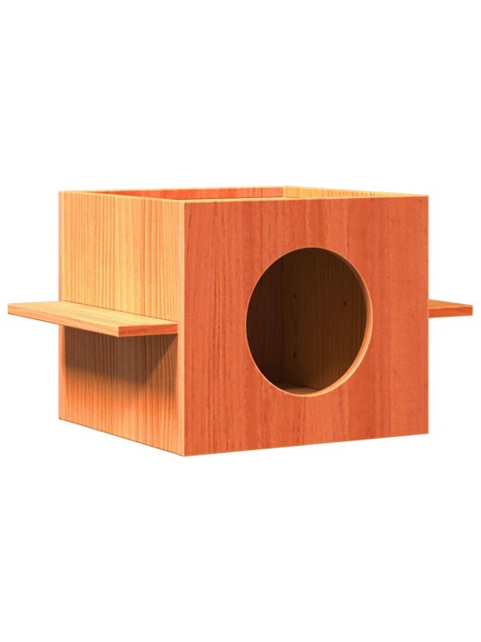 Cat house wax ruskea 51x35x30 cm massiivipuumänty