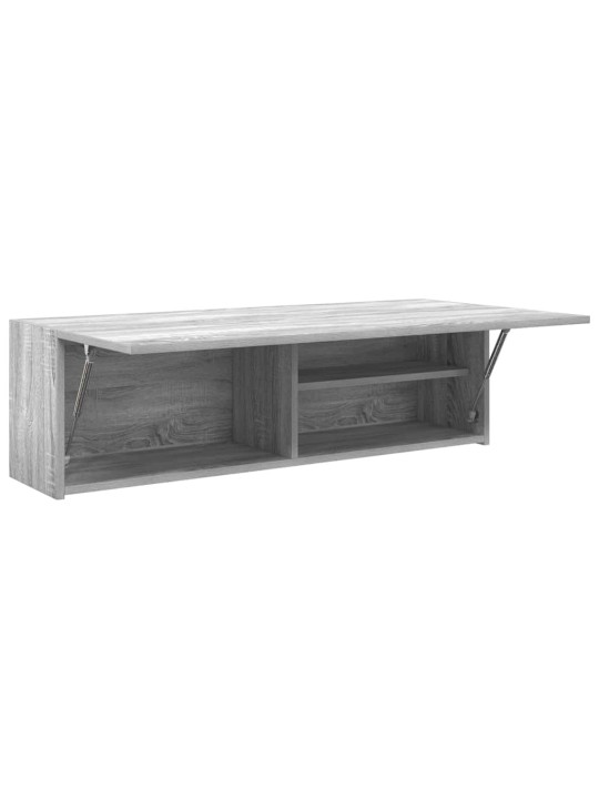 Kylpyhuoneen seinäkaappi harmaa sonoma 100x25x30cm tekninen puu