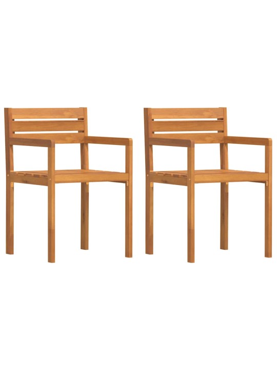 Puutarhatuolit 2 kpl 50x53x80 cm täyspuu akaasia