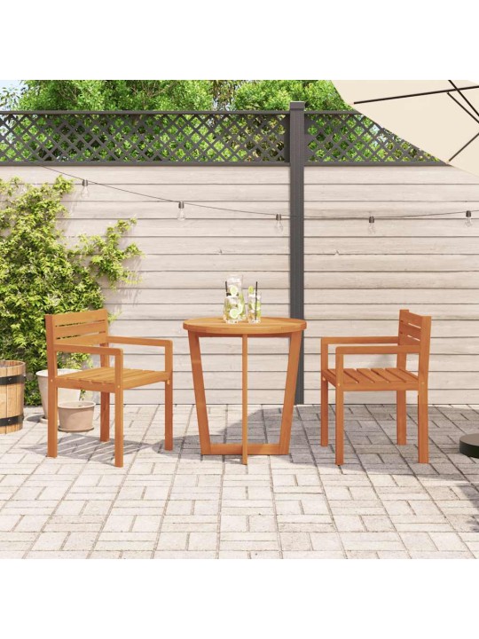 Puutarhatuolit 2 kpl 50x53x80 cm täyspuu akaasia