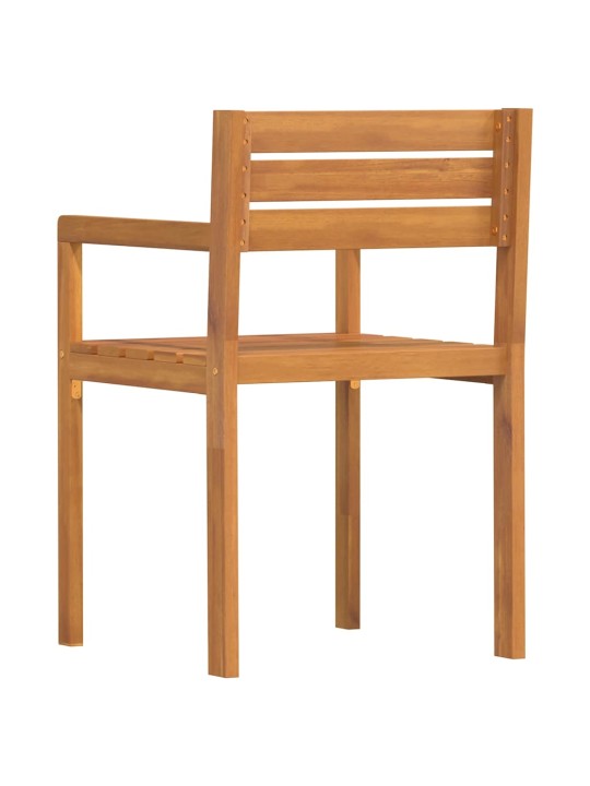 Puutarhatuolit 2 kpl 50x53x80 cm täyspuu akaasia