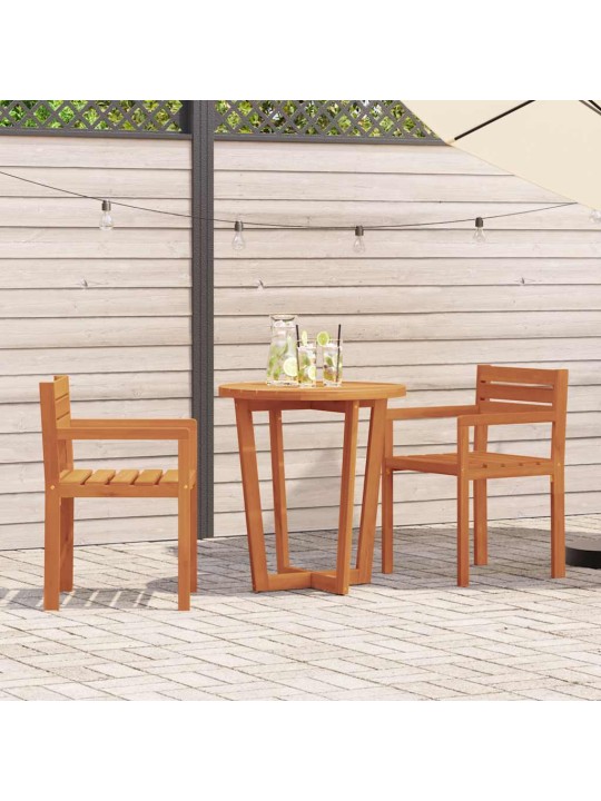 Puutarhatuolit 2 kpl 50x53x80 cm täyspuu akaasia