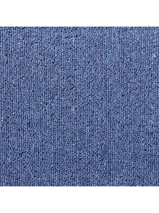 Porrasmatot 30 kpl sininen 65x24x4 cm