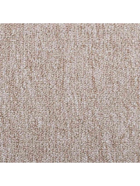Porrasmatot 20 kpl vaaleanruskea 65x24x4 cm