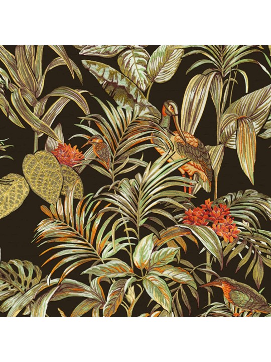 DUTCH WALLCOVERINGS Tapetti Bird-of-Paradise musta