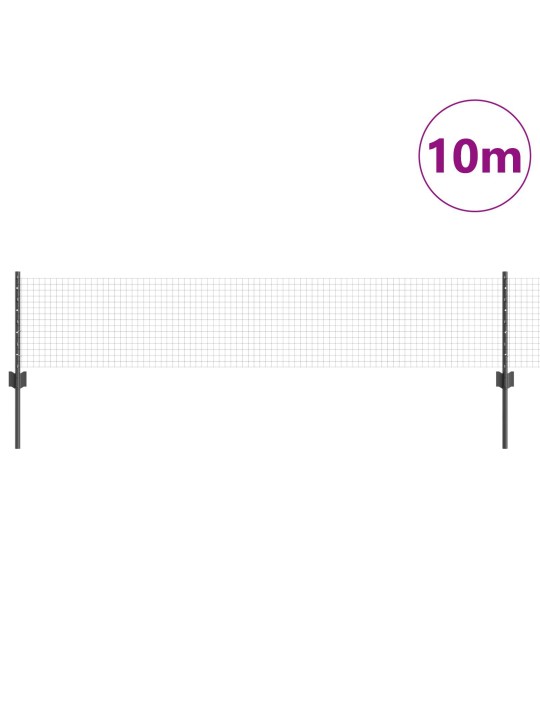 Harmaa hitsattujen lankojen aita 5 u-pylväällä 0.4x10 m teräs
