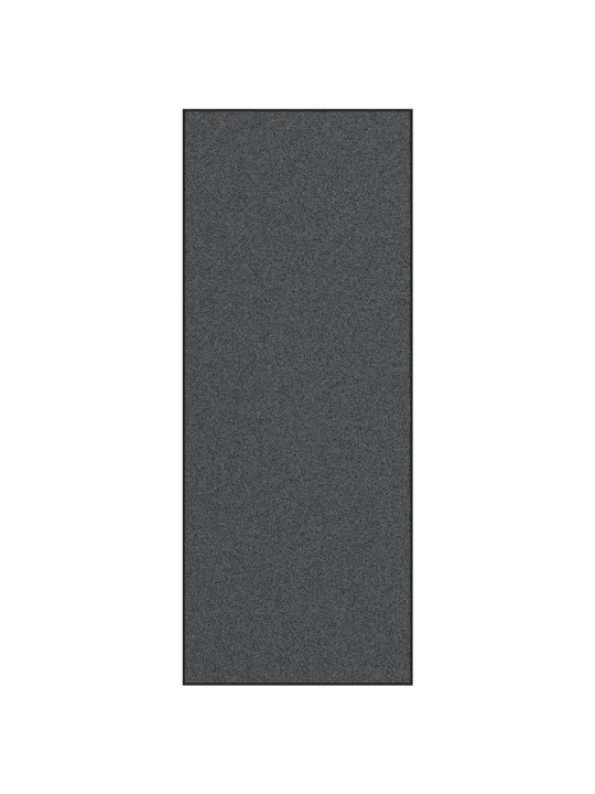 Ovimatto konepesukestävä antrasiitti 120x300 cm