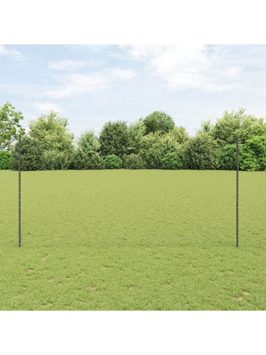 Puutarha-aidansarja setti 2 harmaa metalli 25 x 1,5 m kestävä