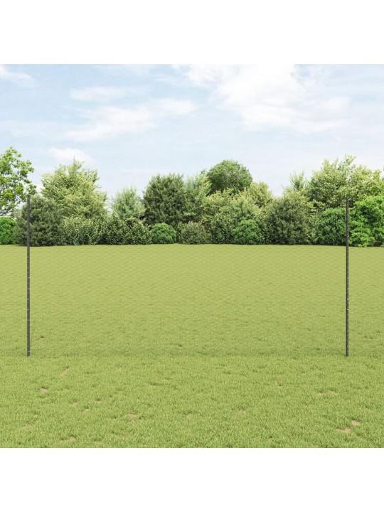 Puutarha-aidansarja sarja 2 harmaa jauhemaalattu teräs 25 x 1,5 m
