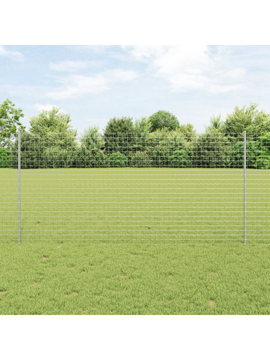 Euro aita 10 u pylväällä hopea 1,2x10 m teräs