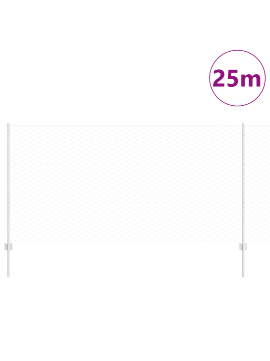 Puutarha-aidansarja 2 kpl galvanoitu teräs 25 x 1.2 m kestävä