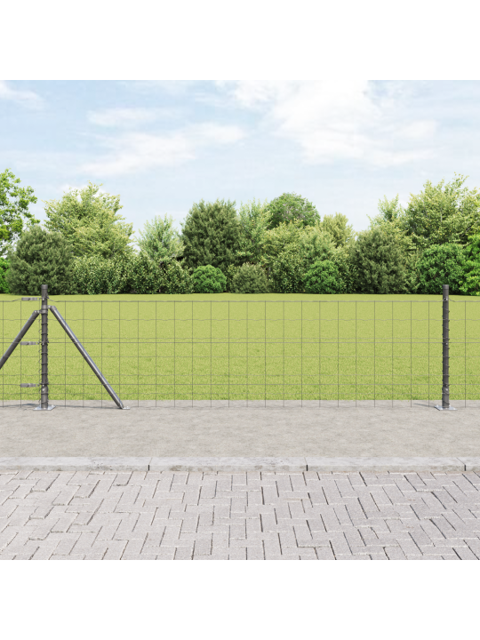 Euro aita 13 flanged posts 0.6x50 m galvanoitua terästä