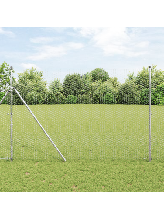 Kuusikulmainen Aita 1.6x50 m Kuumasinkitty Teräs